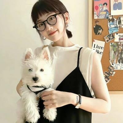 登陆月球
